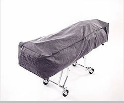 Picture of product Model 321 Cot Cover - 321